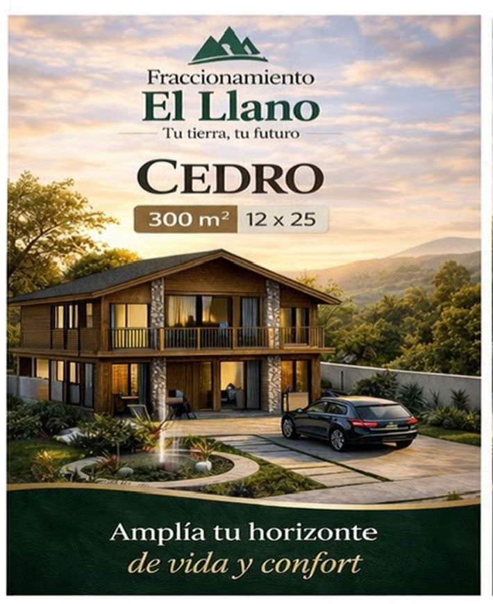 High-End Finishes